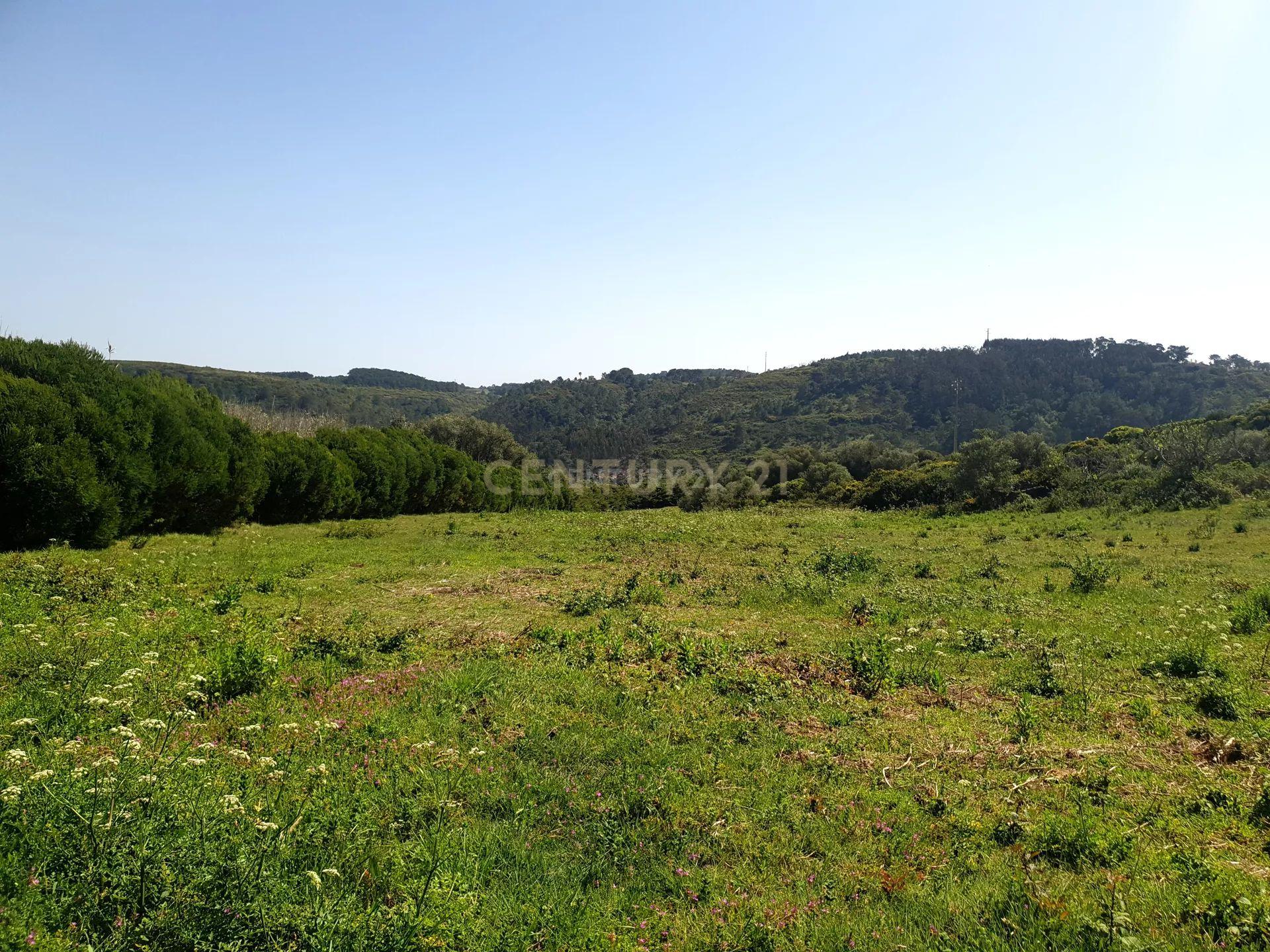 Terreno na Ericeira - Image 7